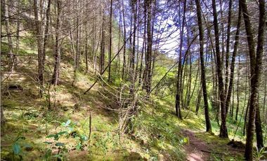 Venta Finca para Parcelar Uso Comercial Ubicacion Premium El Retiro