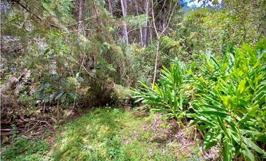 Venta Finca para Parcelar Uso Comercial Ubicacion Premium El Retiro