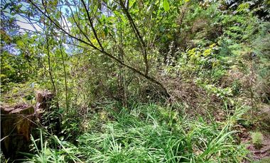 Venta Finca para Parcelar Uso Comercial Ubicacion Premium El Retiro