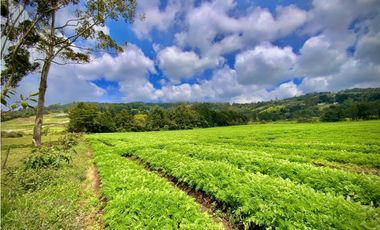 Venta Espectacular Lote Alto Palmas 100% plano Envigado