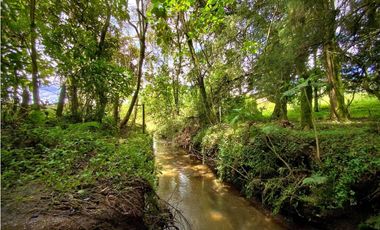 Venta Espectacular Lote Alto Palmas 100% plano Envigado