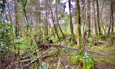 Venta Espectacular Lote Alto Palmas 100% plano Envigado