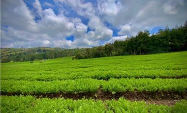 Venta Espectacular Lote Alto Palmas 100% plano Envigado