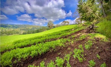 Venta Espectacular Lote Alto Palmas 100% plano Envigado