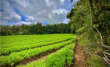 Venta Espectacular Lote Alto Palmas 100% plano Envigado