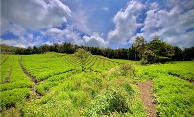 Venta Espectacular Lote Alto Palmas 100% plano Envigado