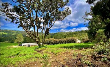 Venta Espectacular Lote Alto Palmas 100% plano Envigado