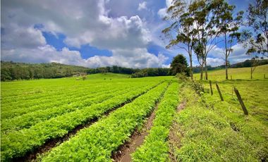 Venta Espectacular Lote Alto Palmas 100% plano Envigado