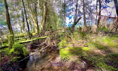 Venta Espectacular Lote Alto Palmas 100% plano Envigado