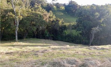 Venta Lote Parcelacion con Vista Alto Palmas (Envigado)