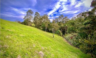 Venta Lote Parcelacion con Vista Alto Palmas (Envigado)