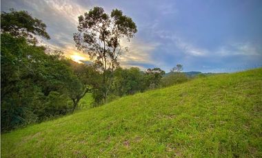 Venta Lote Parcelacion con Vista Alto Palmas (Envigado)