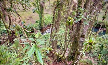 Venta Lote Parcelacion con Vista Alto Palmas (Envigado)