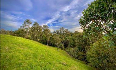 Venta Lote Parcelacion con Vista Alto Palmas (Envigado)