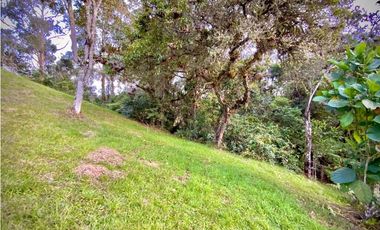 Venta Lote Parcelacion con Vista Alto Palmas (Envigado)