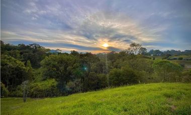 Venta Lote Parcelacion con Vista Alto Palmas (Envigado)