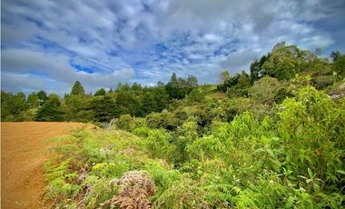 Venta Lote VISTA LEJANA Parcelacion Sector Aeropuerto Guarne