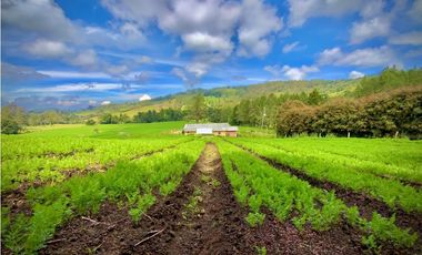 Venta Espectacular Lote Alto Palmas 100% plano Envigado