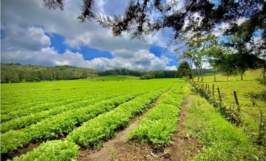 Venta Espectacular Lote Alto Palmas 100% plano Envigado