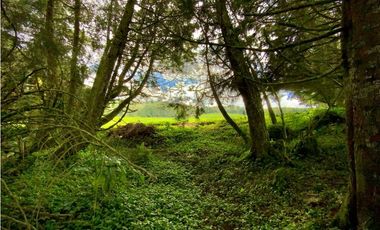 Venta Espectacular Lote Alto Palmas 100% plano Envigado