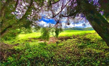 Venta Espectacular Lote Alto Palmas 100% plano Envigado