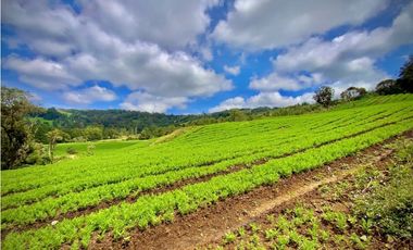 Venta Espectacular Lote Alto Palmas 100% plano Envigado