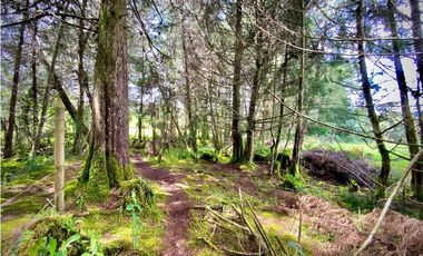 Venta Espectacular Lote Alto Palmas 100% plano Envigado