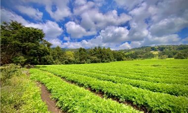 Venta Espectacular Lote Alto Palmas 100% plano Envigado