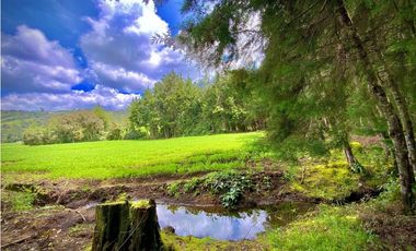 Venta Espectacular Lote Alto Palmas 100% plano Envigado