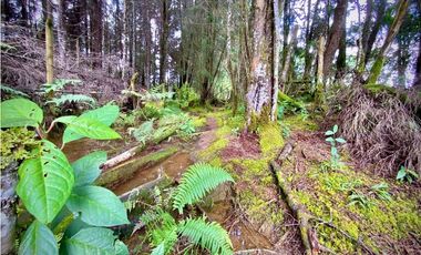 Venta Espectacular Lote Alto Palmas 100% plano Envigado