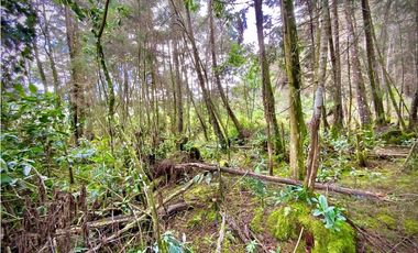 Venta Espectacular Lote Alto Palmas 100% plano Envigado