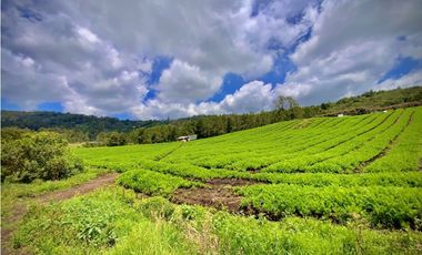 Venta Espectacular Lote Alto Palmas 100% plano Envigado