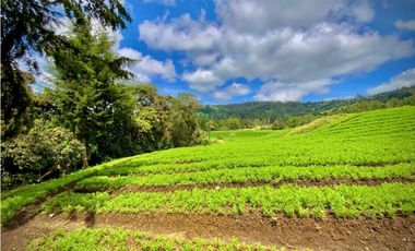 Venta Espectacular Lote Alto Palmas 100% plano Envigado