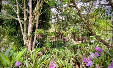 Venta Finca Parcelación La Ceja Incluye 2 Casas