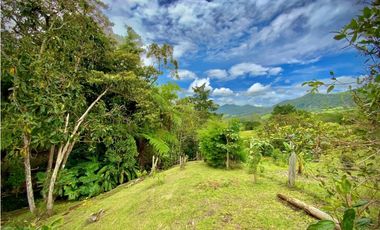 Venta Finca Parcelación La Ceja Incluye 2 Casas