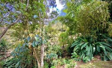 Venta Finca Parcelación La Ceja Incluye 2 Casas