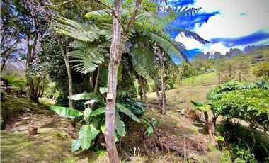 Venta Finca Parcelación La Ceja Incluye 2 Casas