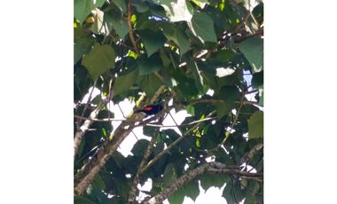casa campestre Marinilla, cerca de la zona Urbana