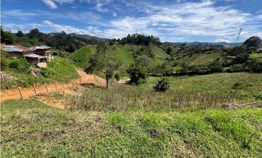 lote en venta en Marinilla, sector la planta. 3353 m2