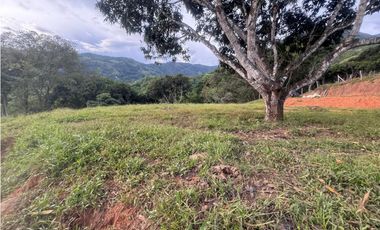 Venta Lote san jeronimo