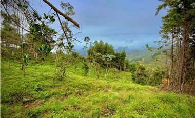 Venta Lote Parcelacion VISTA REPRESA