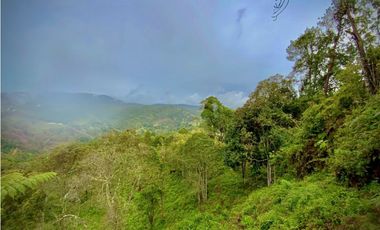 Venta Lote Parcelacion VISTA REPRESA