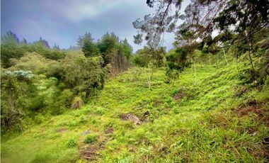 Venta Lote Parcelacion VISTA REPRESA