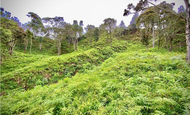 Venta Lote Parcelacion VISTA REPRESA