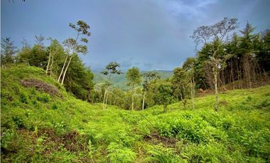 Venta Lote Parcelacion VISTA REPRESA