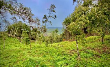 Venta Lote Parcelacion VISTA REPRESA
