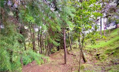 Venta Lote Parcelacion VISTA REPRESA