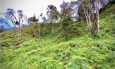 Venta Lote Parcelacion VISTA REPRESA