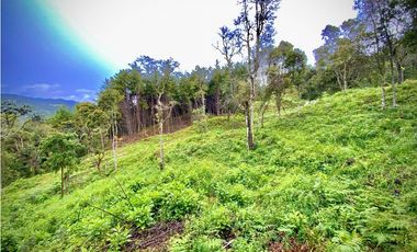 Venta Lote Parcelacion VISTA REPRESA
