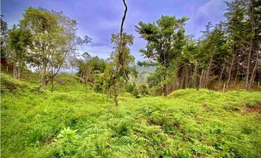 Venta Lote Parcelacion VISTA REPRESA